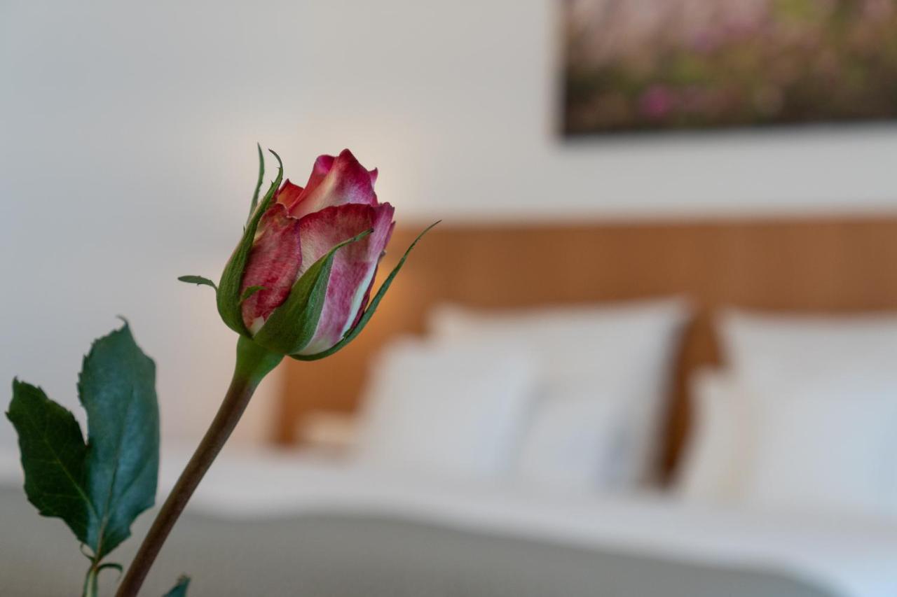סלינגסטדט Hotel Elysee מראה חיצוני תמונה